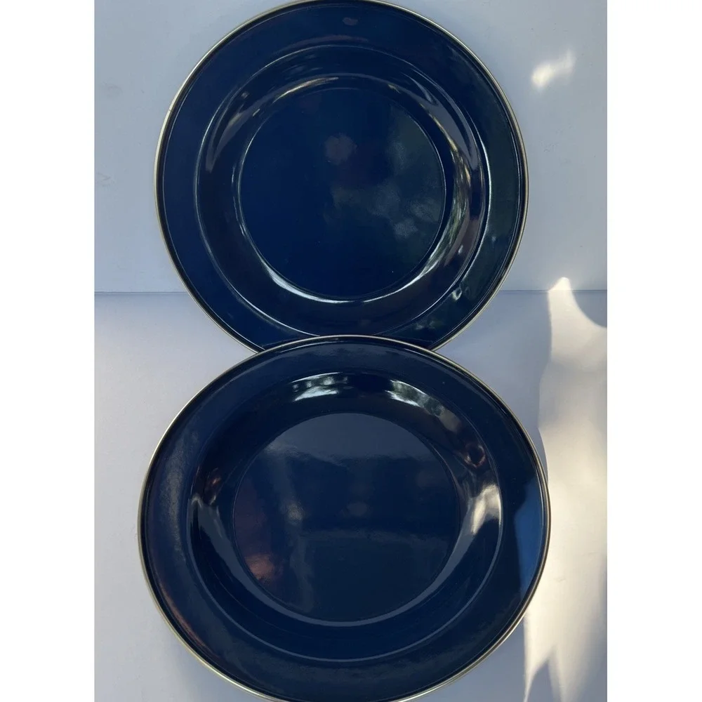 Discontinued Pottery Barn Enamelware Plate Blue 10